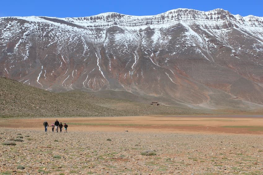 Fancy trekking?