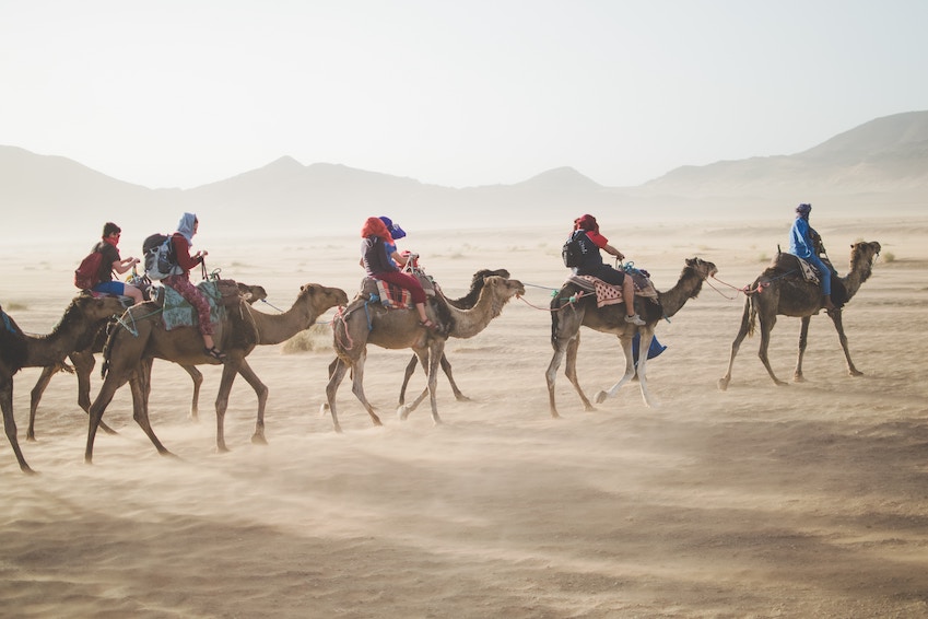 Take a camel ride