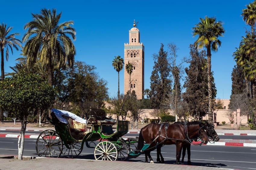 30 activités à faire à Marrakech pour ne rien manquer