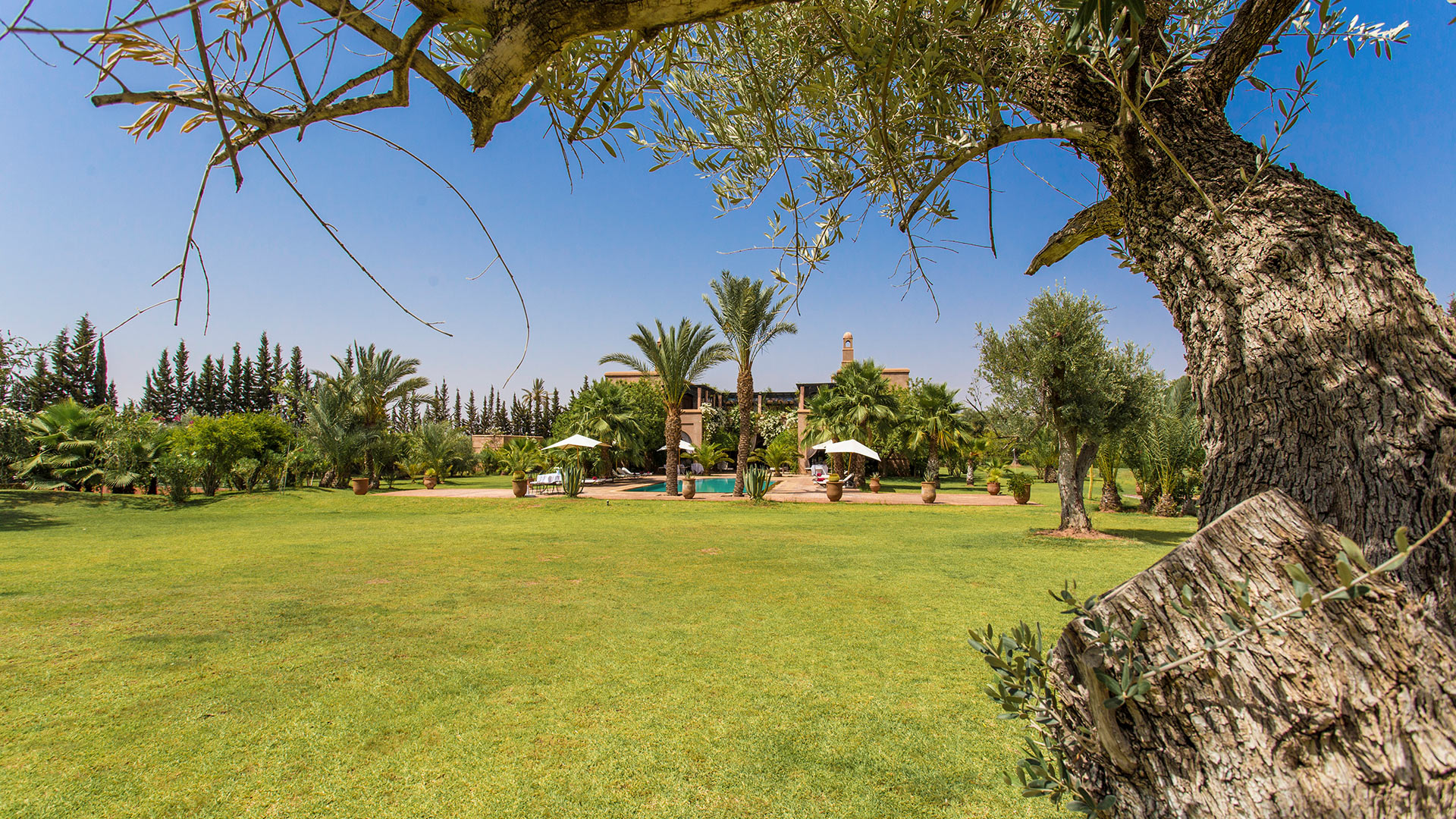 Villa Dar Marja, Location à Marrakech
