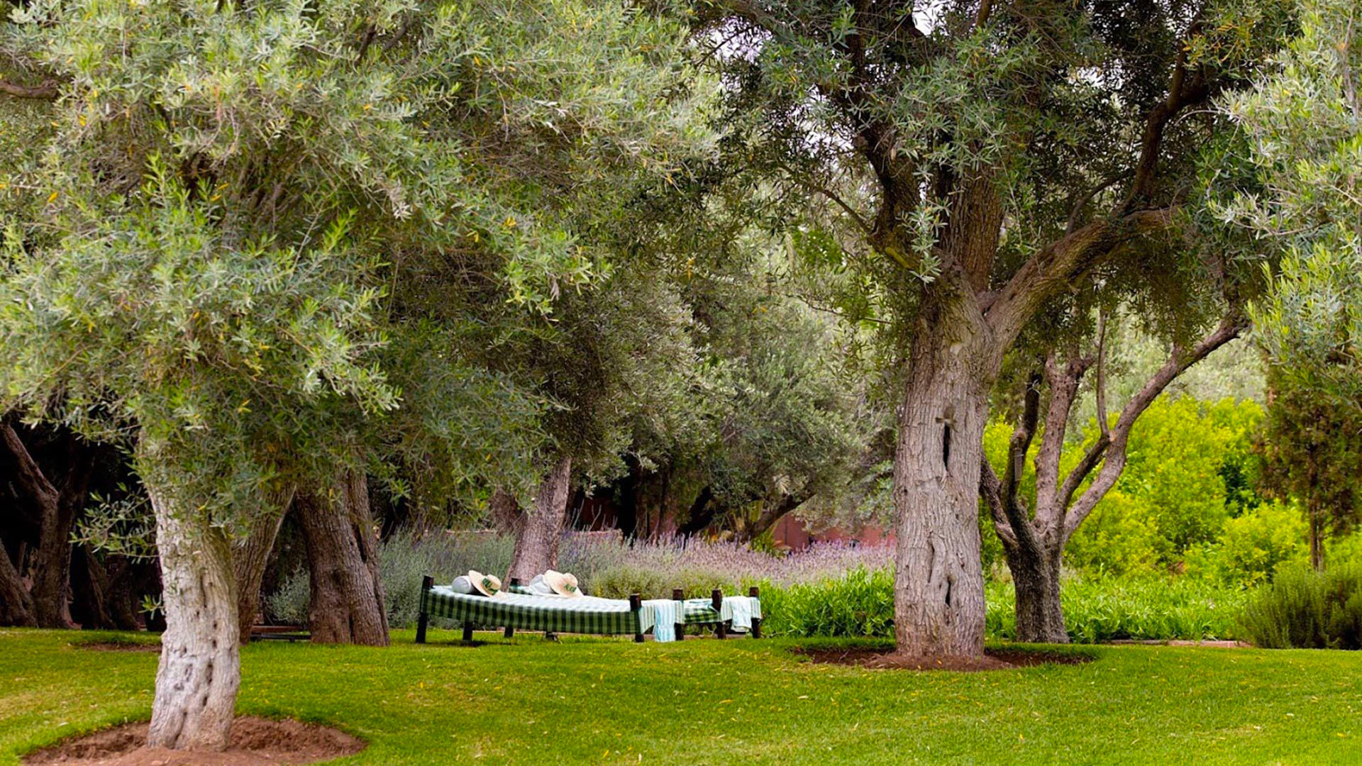 Villa Villa Alkhozama, Location à Marrakech
