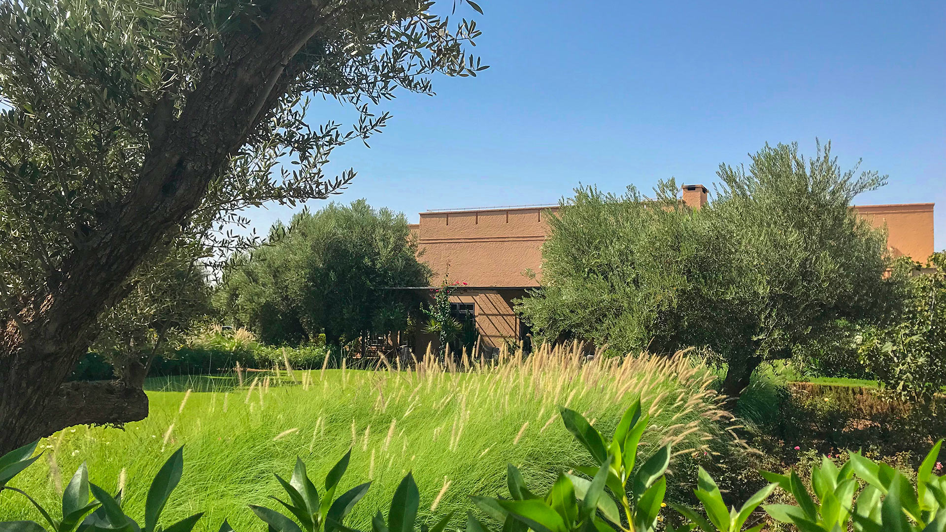 Villa Dar Toozween, Rental in Marrakech
