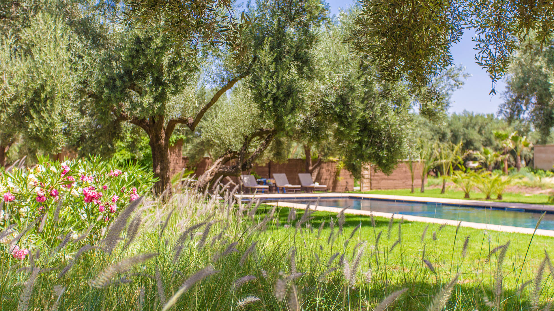 Villa Villa Flo, Rental in Marrakech