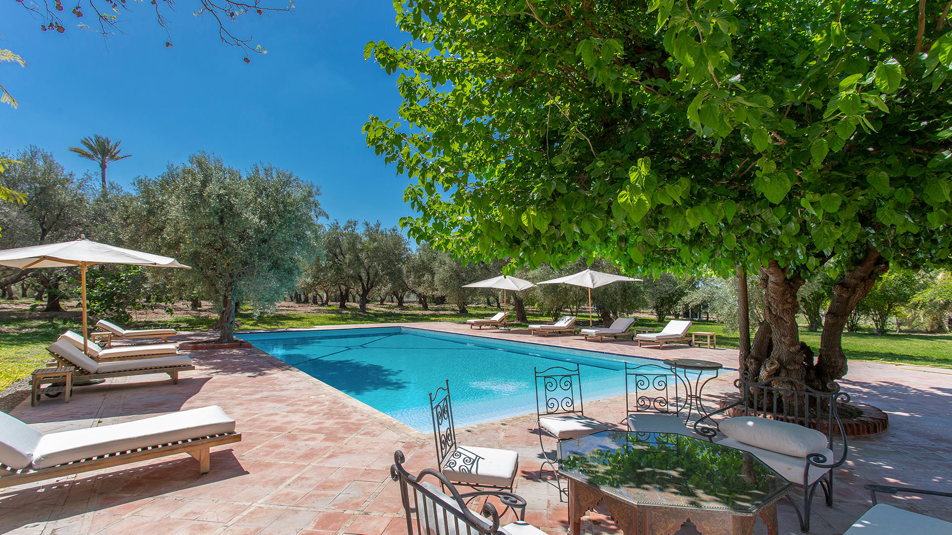 Villa Royaume des Oliviers, Rental in Marrakech